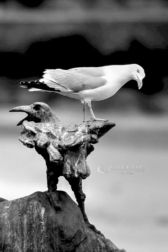 L´Oeuvre et son Modèle - Dinard  - Photographie Photographies par thématiques Galerie Sébastien Luce