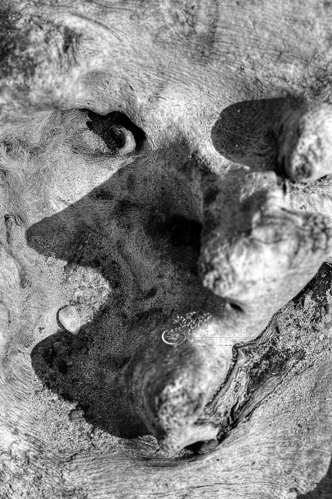 Ombre de profil - saint malo  - Photographie Photographies d'art en édition limitée Galerie Sébastien Luce