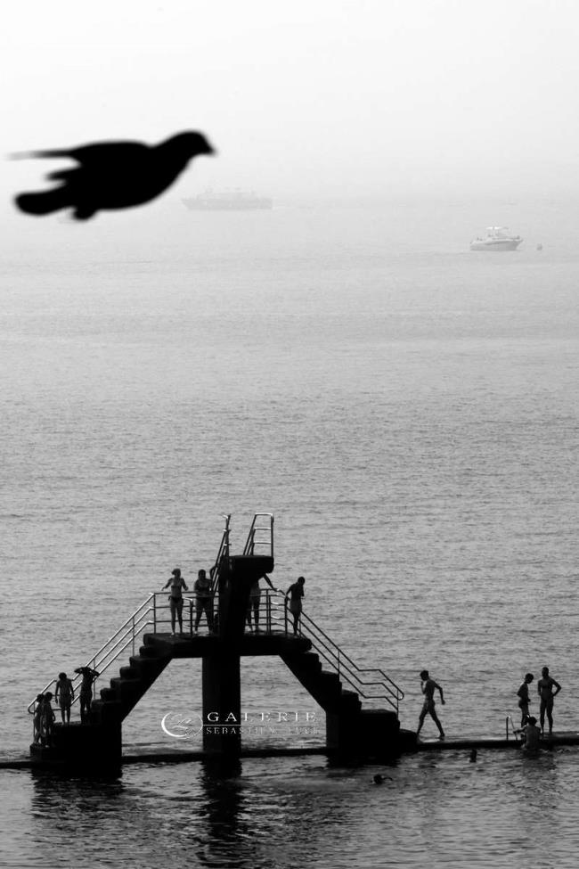 L´envol - Saint Malo  - Photographie Photographies par thématiques Galerie Sébastien Luce