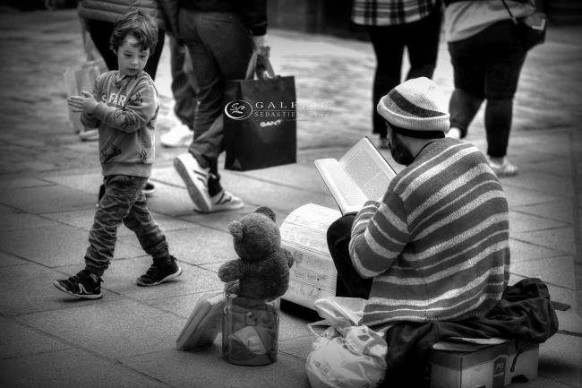 petit ours brun - saint malo  - Photographie Photographies par thématiques Galerie Sébastien Luce