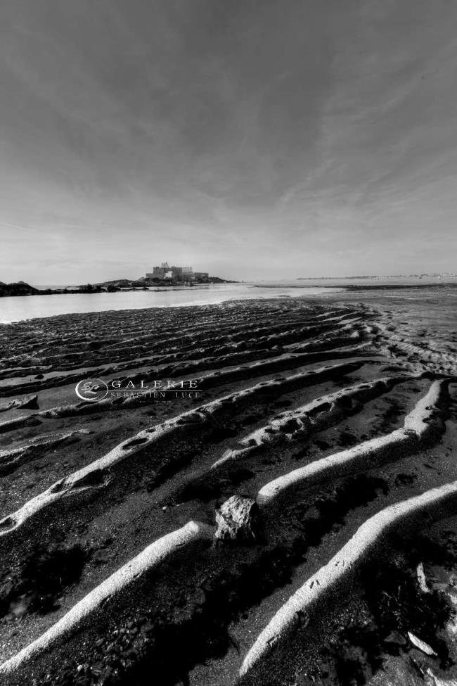Veines de sable - saint malo - Photographie Photographies par thématiques Galerie Sébastien Luce