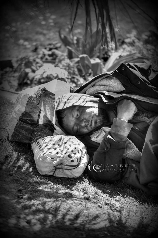 rêve vert - Photographie Photographies d'art en édition limitée Galerie Sébastien Luce