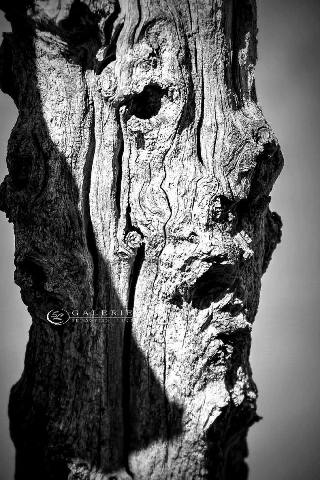 l´appel du brise-lames - Photographie Photographies d'art en édition limitée Galerie Sébastien Luce