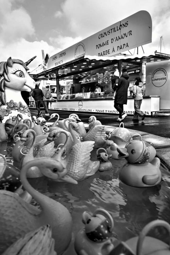 Mon petit canard - saint malo  - Photographie Photographies par thématiques Galerie Sébastien Luce