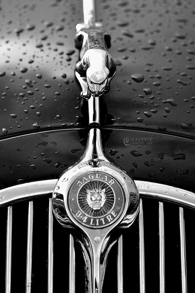 jaguar - Luxury car - Photographie Photographies par thématiques Galerie Sébastien Luce