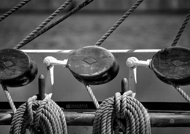 Canards - Saint Malo - Photographie Photographies par thématiques Galerie Sébastien Luce