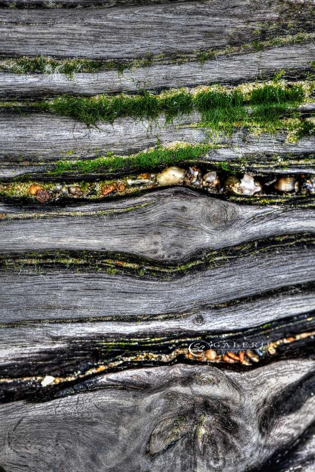 ligne verte  - Photographie Photographies d'art en édition limitée Galerie Sébastien Luce