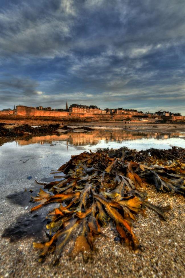 bouquet de sel - saint malo - Photographie Photographies d'art en édition limitée Galerie Sébastien Luce