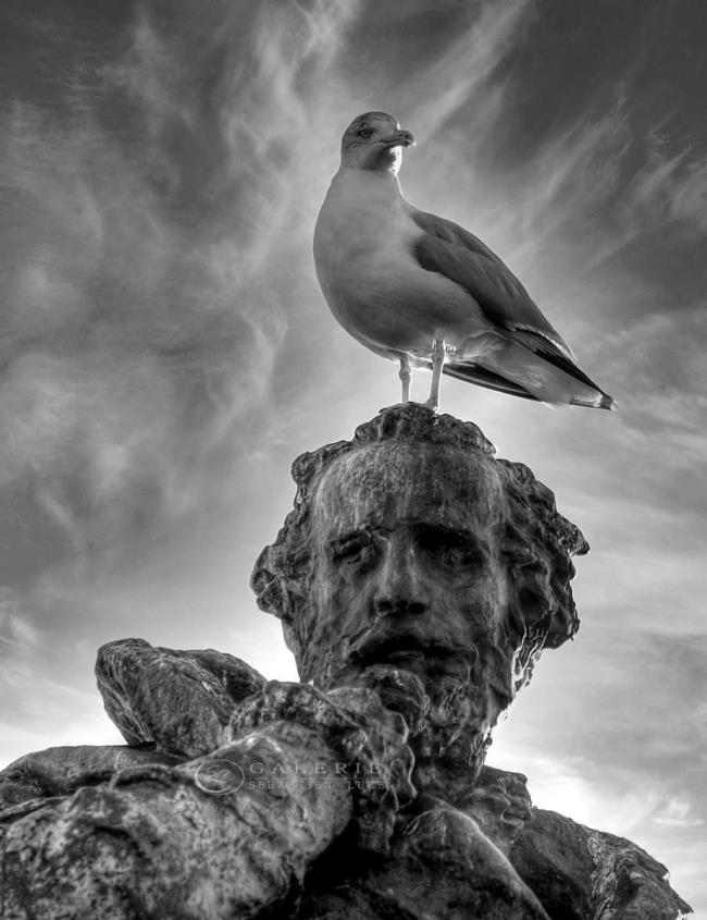 symbolique bretagne - Photographie Photographies d'art en édition limitée Galerie Sébastien Luce