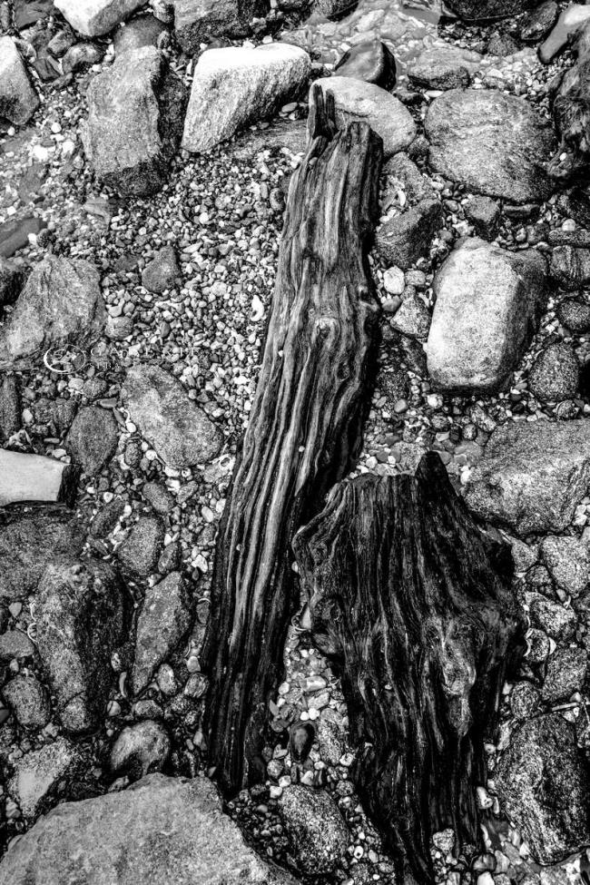 Soldats de mer - Saint Malo - Photographie Photographies par thématiques Galerie Sébastien Luce