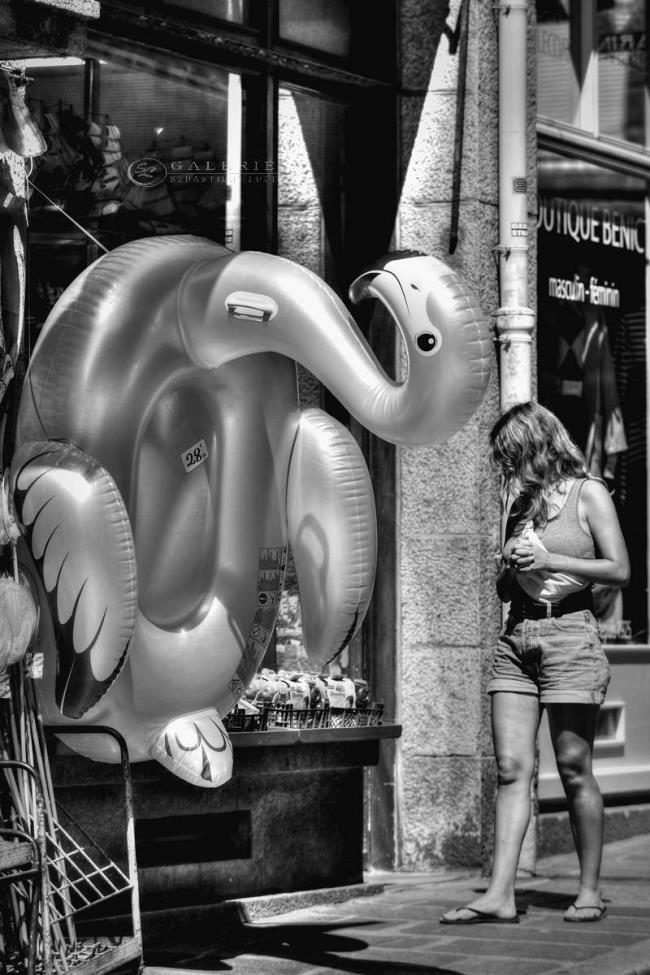 Flamingo - saint malo - Photographie Photographies par thématiques Galerie Sébastien Luce