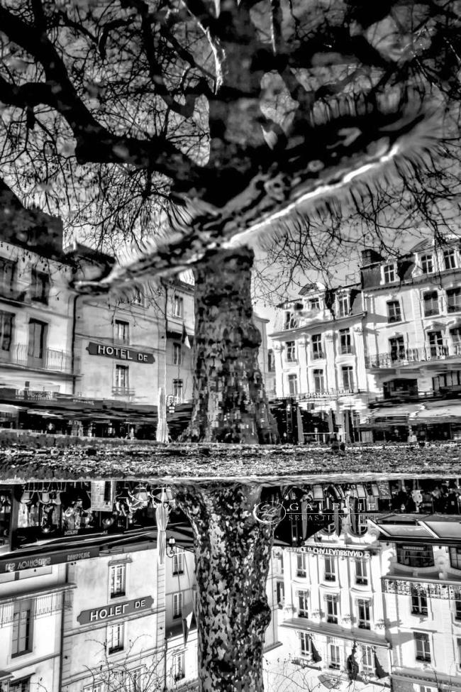 Racines - saint malo - Photographie Photographies d'art en édition limitée Galerie Sébastien Luce
