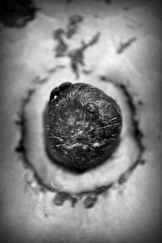 l´oeil du brise-lames - st malo - Photographie Photographies d'art en édition limitée Galerie Sébastien Luce